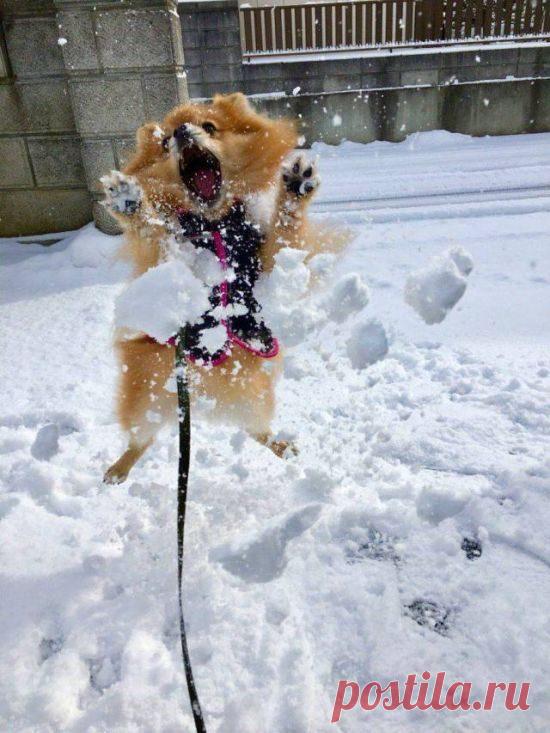 Новые прикольные картинки дня! / Приколы