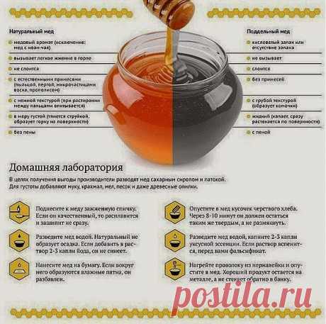 Домашняя &quot;медовая&quot; лаборатория..