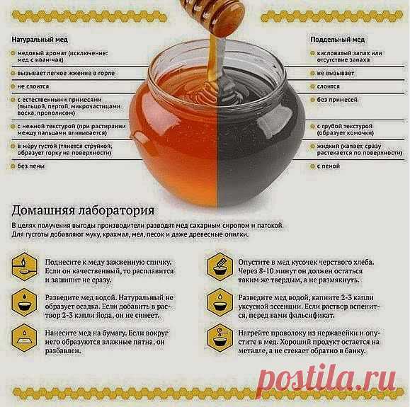Домашняя "медовая" лаборатория..