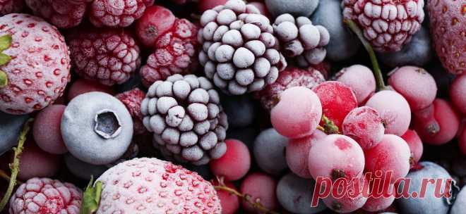 Заморозка продуктов: как заморозить, чтобы не потерять вкус и свойства