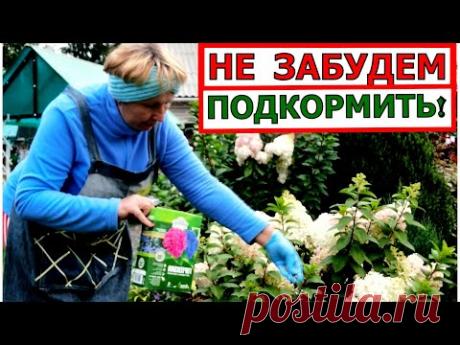 Зачем подкармливать растения осенью? Выбор удобрений