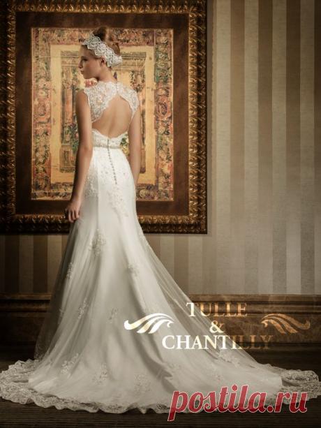 Veiklība -Sophisticated V-veida kakla Mermaid Tank Lāce Kāzu kleita [TBQW034] - $ 496,00: Custom Made Kāzu, Prom, vakarkleitas Online | Tills &amp; Chantilly