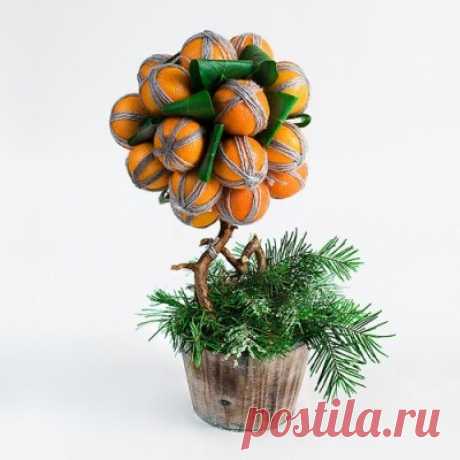 Своими руками: Мандариновое дерево
