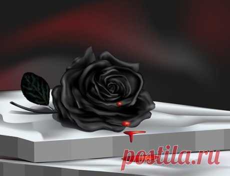 (62) Одноклассники