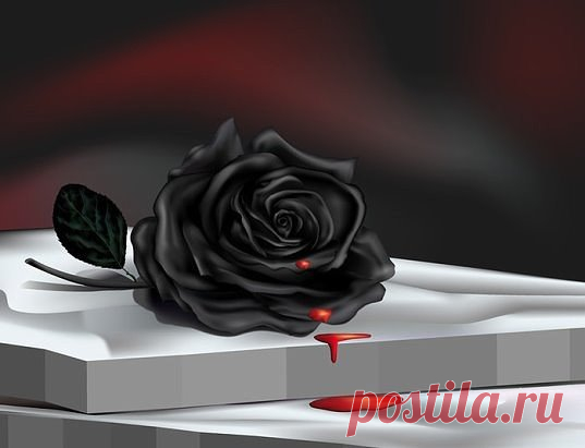 (62) Одноклассники