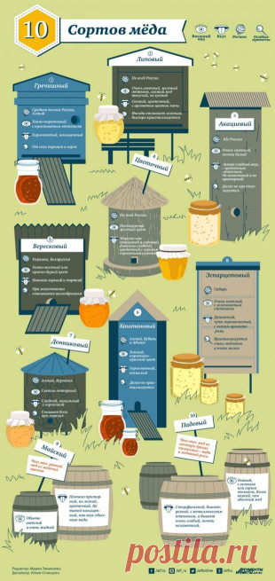 Виды мёда и их особенности. Инфографика | Полезные инструкции от aif.ru