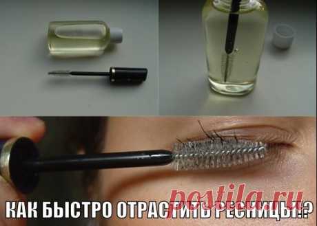 Секреты красоты и здоровья.: ЧУДО-СМЕСЬ ДЛЯ БЫСТРОГО РОСТА РЕСНИЦ!!!