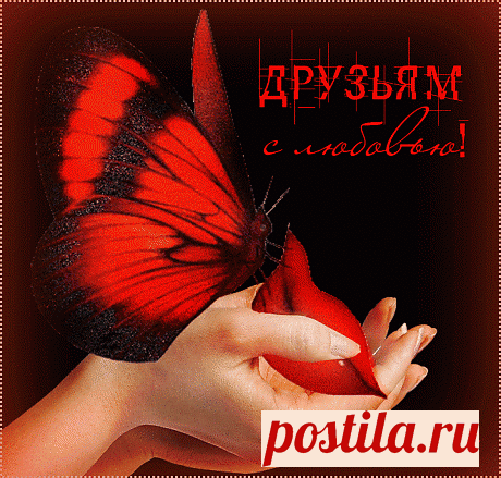 Я вас люблю, мои друзья - Плейкасты