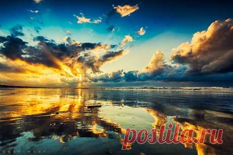 Когда игра заканчивается, король и пешка падают в одну и ту же коробку....