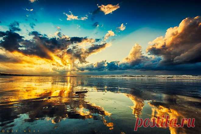 Когда игра заканчивается, король и пешка падают в одну и ту же коробку....