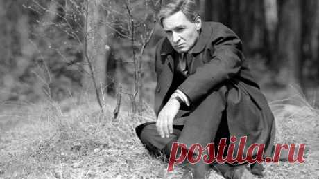 Вячеслав Тихонов: последний актер советского кино — Рамблер/новости