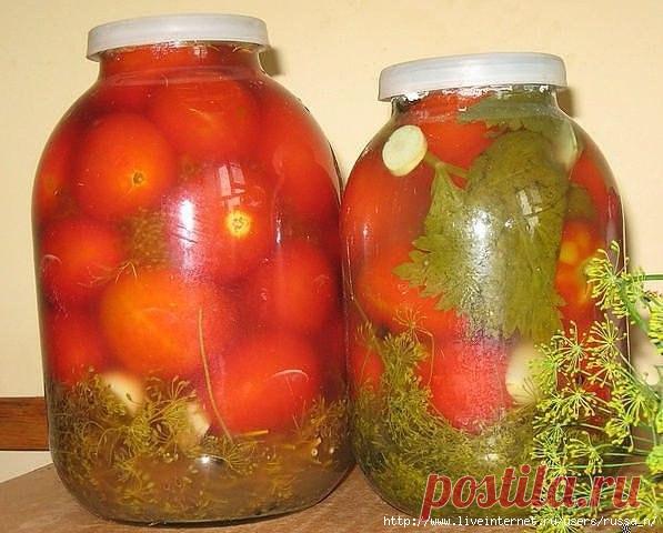 Дневник Montileda