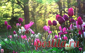 Video:Building Good Homework Habits