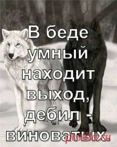 Яндекс.Картинки: поиск похожих изображений