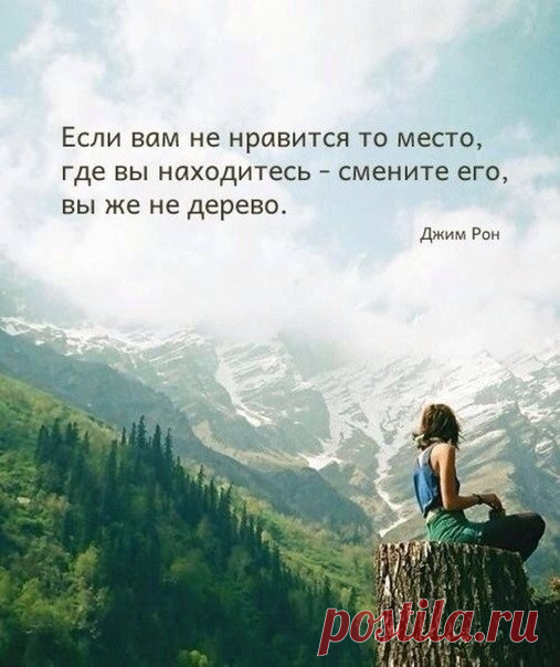 wJGE2rr2rjc.jpg (507×604)