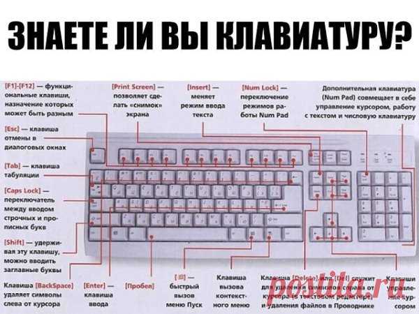 ЗНАЕТЕ ЛИ ВЫ КЛАВИАТУРУ НА СВОЁМ КОМПЬЮТЕРЕ?
F1— вызывает «справку» Windows или окно помощи активной программы. В Microsoft Word комбинация клавиш Shift+F1 показывает форматирование текста;
F2— переименовывает выделенный объект на рабочем столе или в окне проводника;
F3— открывает окно поиска файла или папки на рабочем столе и в проводнике. Комбинация клавиш Shift+F3 часто используется для поиска в обратном направлении;
F4— открывает выпадающий список, например, список стр...
