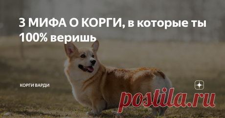 3 МИФА О КОРГИ, в которые ты 100% веришь Статья автора «Корги Варди» в Дзене ✍:  За время ведения блога о жизни с собакой я столкнулась с большим количеством людских заблуждений о породе вельш-корги пемброк.