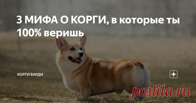 3 МИФА О КОРГИ, в которые ты 100% веришь Статья автора «Корги Варди» в Дзене ✍:  За время ведения блога о жизни с собакой я столкнулась с большим количеством людских заблуждений о породе вельш-корги пемброк.