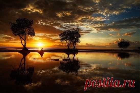 Большинство людей сердятся из-за обид, которые они сами сочинили, придавая глубокий смысл пустякам.