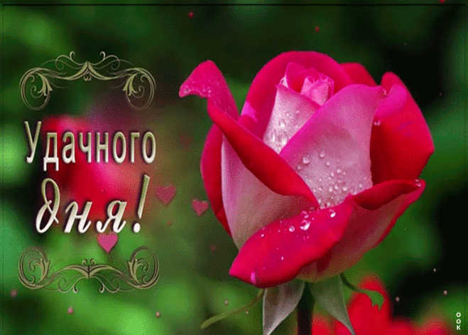 Удачного дня