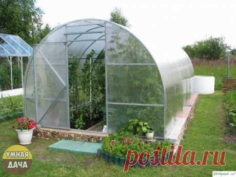 Пoлeзныe coвeты xoзяину тeплицы