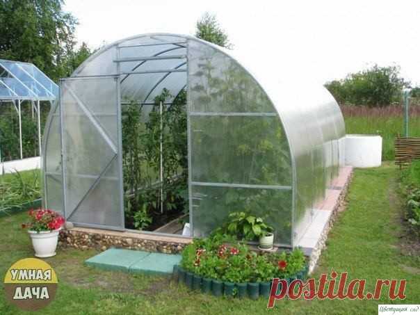 Пoлeзныe coвeты xoзяину тeплицы