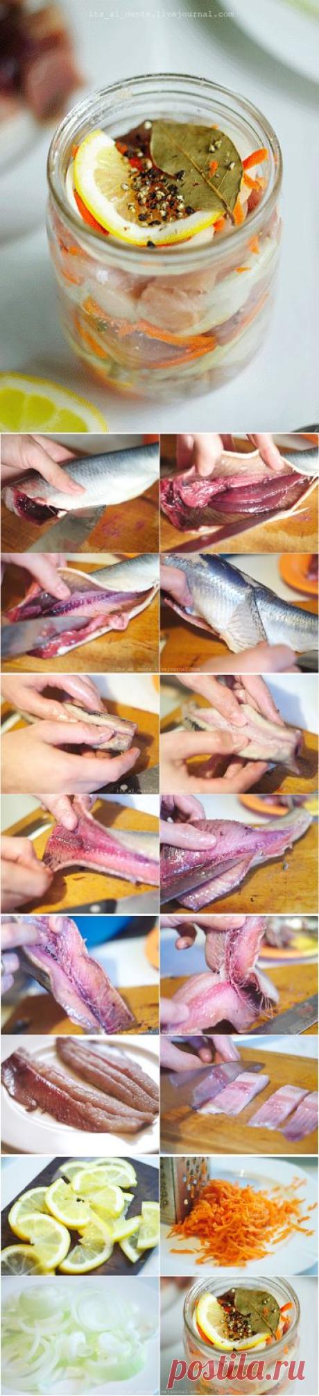 Селедка по-голландски: : вкуснее просто не существует