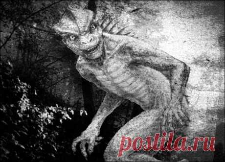 Охотник из Бишопвилла уверяет, что заснял Человека-Ящерицу