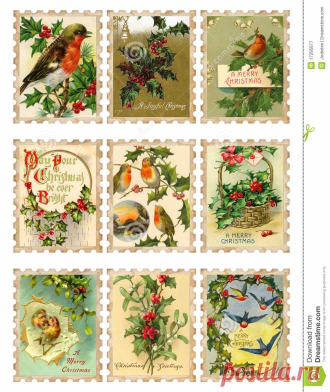 Vintage Digital Papers: Victorian Vintage Bird Collage Papers, Shabby Chic, Altered Art. Ephemera Style Digital Papers, Instant Download - 5 тыс. картинок - Поиск Mail.Ru