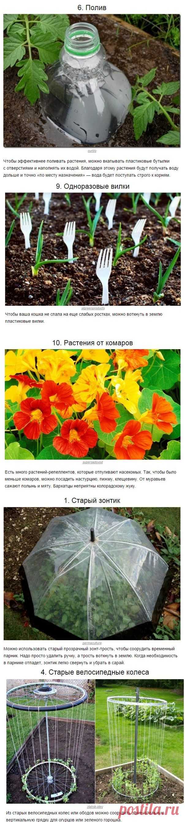 Советы дачникам