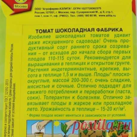 Томат Шоколадная фабрика: описание сорта помидоров, характеристики. Особенности посадки и выращивания, болезни и вредители, достоинства и недостатки, отзывы