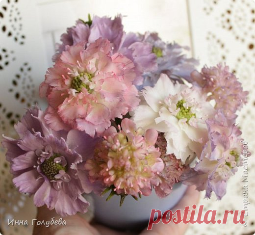 Скабиоза из холодного фарфора и фото процесса. | Страна Мастеров