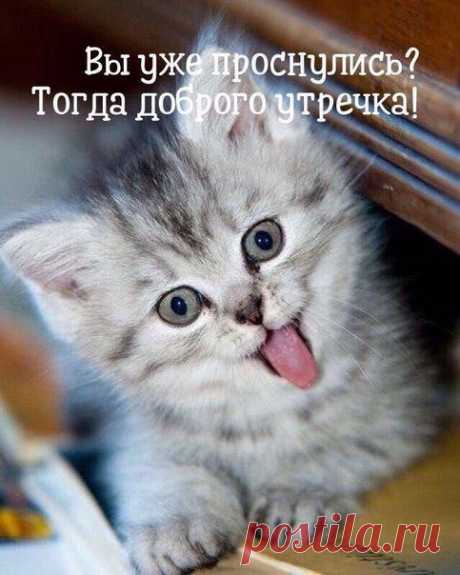 (2312) Pinterest