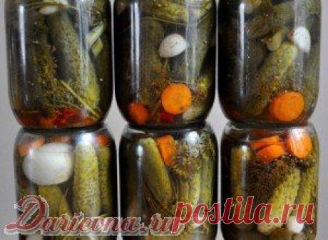 ОГУРЦЫ ПО-БЕРДЫЧЕВСКИ - ОЧЕНЬ АРОМАТНЫЕ И ОЧЕНЬ КРАСИВЫЕ! | Женский журнал