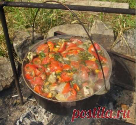 Хашлама | Эфария