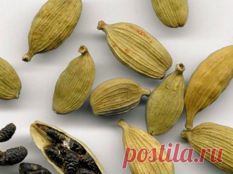 5 специй которые уничтожают бактерии и защищают