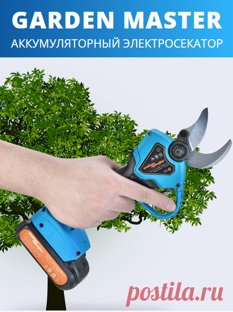Garden Master – первый электросекатор по такой доступной цене!

Основное преимущество этого инструмента заключается в том, что он позволяет разрезать даже толстые ветки толщиной до 30 мм без усилий! Представьте, как просто обычным сектором разрезать, например, стебель сельдерея. многолетники на весну
Так же просто электросекатором отрезать толстые ветки деревьев (которые невозможно отрезать секатором).  подрезки сада использовать еще и ножовку! платья для девочки спицами
подкормки овощей