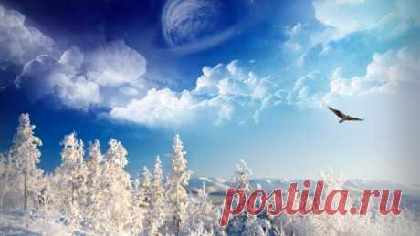 Обои Зима, деревья, горы, небо, пространство, птицы картинки на рабочий стол, фото