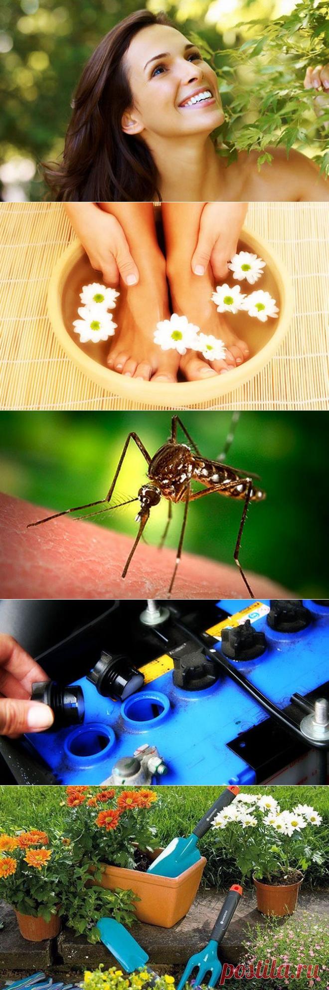 Необычные способы применения аспирина — Делимся советами