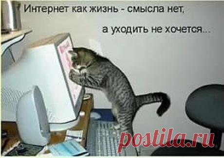 БЕСПЛАТНАЯ ШКОЛА УСПЕХ В INTERNET PRO100 ПОЗВОЛИТ ВАМ ОТКАЗАТЬСЯ ОТ МЕТОДА НАУЧНОГО ТЫКА И В ТЕЧЕНИЕ 3-Х НЕДЕЛЬ ПОСТРОИТЬ СВОЁ ПРЕДСТАВИТЕЛЬСТВО В ИНТЕРНЕТЕ И ЗАЯВИТЬ ВСЕМУ МИРУ О СЕБЕ! Обучение проходит в видео формате в удобное для вас время! Создайте Свое Представительство в Интернет. Вы Хотите Научиться Обрабатывать Фотографии, Создавать Презентации, Вести Личный Блог и Делать Свои Видеоролики, чтобы Получать Огромное Удовольствие и Материальную Выгоду от Работы в сети Интернет?