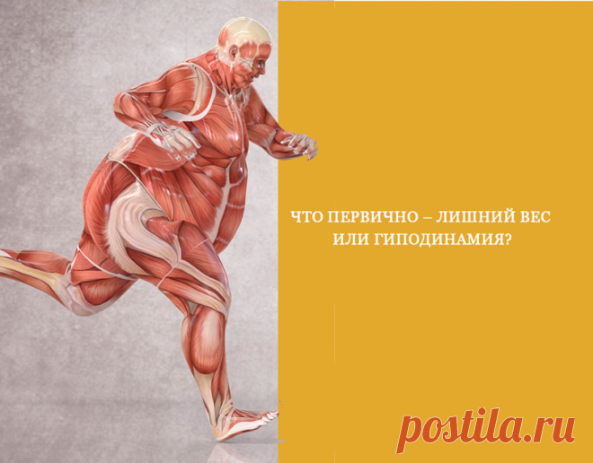 Что первично – лишний вес или гиподинамия?