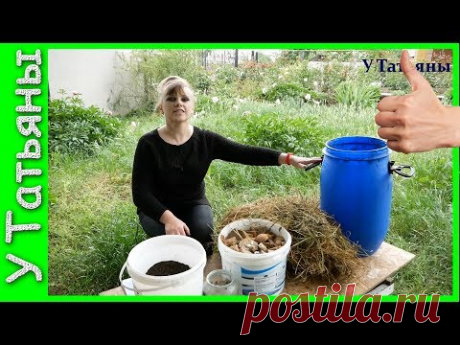 СРОЧНО полейте ЭТИМ: ТОМАТЫ, ПЕРЦЫ и БАКЛАЖАНЫ!!! РЕЗУЛЬТАТ НА 3 ДЕНЬ!