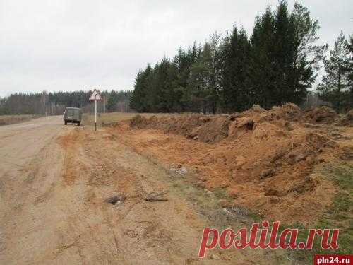Под Красногородском поисковики нашли останки 12-ти детей и подростков :
