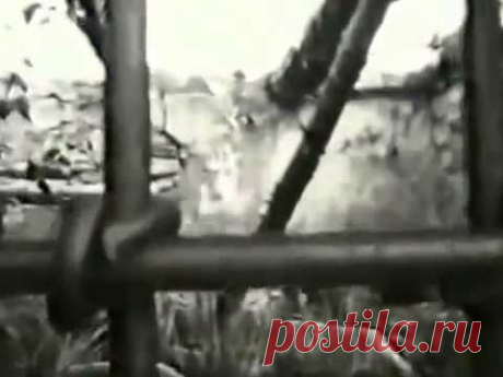 ГУЛАГ.  Урановые рудники Магадана