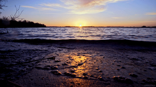 (8) Tumblr