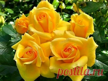Мой Мир@Mail.Ru