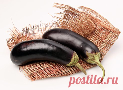 РЕЦЕПТЫ: 4 очень вкусных блюд из баклажанов