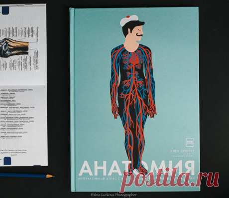 Перед вами иллюстрированный атлас по анатомии. В доступной, наглядной и увлекательной форме он рассказывает об устройстве человеческого тела и работе всех систем организма. Иллюстрации в книге &quot;Анатомия&quot; выполнены с помощью лазерной резки. Когда страницы наложены друг на друга, мы видим полную картину строения человеческого тела. Когда листаем страницы по одной, можем рассмотреть разные системы, понять, как и почему они работают. Вырезанные клапаны помогают заглянуть внутрь…