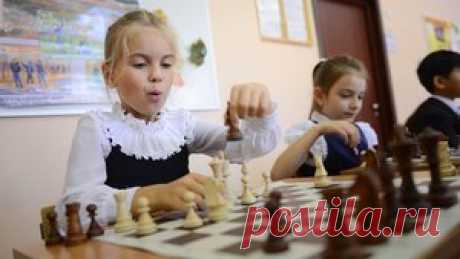 Как играть в шахматы? Правила игры в шахматы