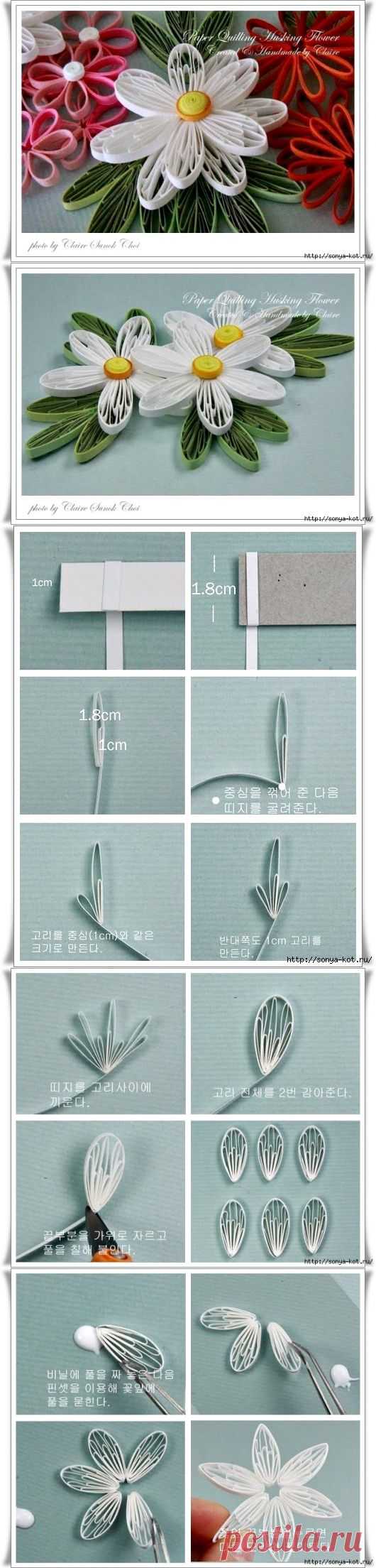 Цветы из бумаги.